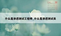 什么是渗透测试工程师_什么是渗透测试员