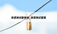 渗透测试都有啥_渗透测试蜜獾