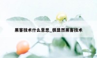 黑客技术什么意思_很显然黑客技术