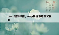 burp漏洞扫描_burp接口渗透测试视频