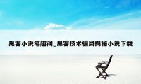 黑客小说笔趣阁_黑客技术骗局揭秘小说下载