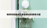 如何对系统进行渗透测试的简单介绍