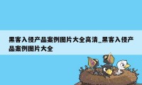 黑客入侵产品案例图片大全高清_黑客入侵产品案例图片大全