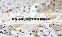 暗夜 小说_暗夜文学网取精小说