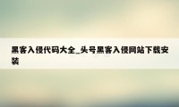 黑客入侵代码大全_头号黑客入侵网站下载安装