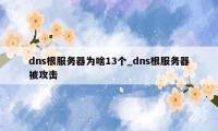 dns根服务器为啥13个_dns根服务器被攻击