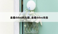 金盾ddos防火墙_金盾ddos攻击