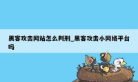 黑客攻击网站怎么判刑_黑客攻击小网络平台吗