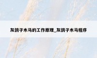 灰鸽子木马的工作原理_灰鸽子木马程序