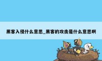 黑客入侵什么意思_黑客的攻击是什么意思啊