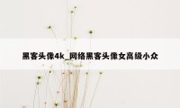 黑客头像4k_网络黑客头像女高级小众