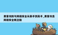 黑客攻防与网络安全从新手到高手_黑客攻击网络安全概念股