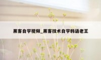 黑客自学视频_黑客技术自学韩语老王