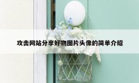攻击网站分享好物图片头像的简单介绍