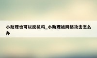 小助理也可以反抗吗_小助理被网络攻击怎么办