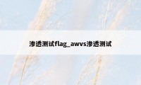 渗透测试flag_awvs渗透测试