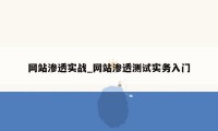 网站渗透实战_网站渗透测试实务入门