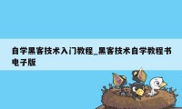 自学黑客技术入门教程_黑客技术自学教程书电子版