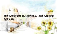 黑客入侵需要负责人吗为什么_黑客入侵需要负责人吗