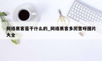 网络黑客是干什么的_网络黑客多厉害呀图片大全