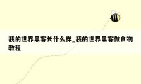 我的世界黑客长什么样_我的世界黑客做食物教程