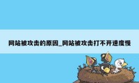 网站被攻击的原因_网站被攻击打不开速度慢