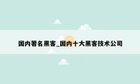 国内著名黑客_国内十大黑客技术公司