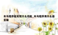 木马程序能实现什么功能_木马程序用什么语言编