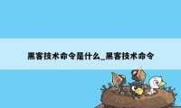 黑客技术命令是什么_黑客技术命令