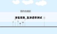 渗氢现象_氢渗透率测试