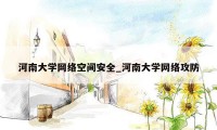 河南大学网络空间安全_河南大学网络攻防