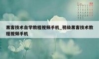 黑客技术自学教程视频手机_初级黑客技术教程视频手机