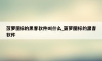 菠萝图标的黑客软件叫什么_菠萝图标的黑客软件