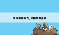 中国黑客实力_中国黑客皇帝