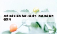 黑客攻击的是服务器还是域名_黑客攻击服务器案件
