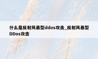 什么是反射风暴型ddos攻击_反射风暴型DDos攻击