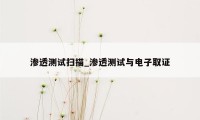 渗透测试扫描_渗透测试与电子取证
