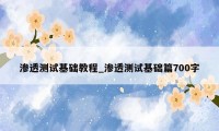 渗透测试基础教程_渗透测试基础篇700字