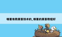 哪里有教黑客技术的_哪里的黑客教程好