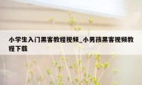 小学生入门黑客教程视频_小男孩黑客视频教程下载