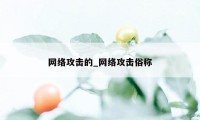 网络攻击的_网络攻击俗称