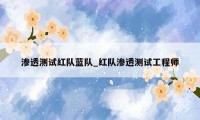 渗透测试红队蓝队_红队渗透测试工程师