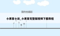 小黑客小说_小黑客完整版视频下载教程