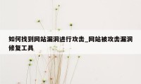 如何找到网站漏洞进行攻击_网站被攻击漏洞修复工具