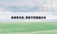 美黑客攻击_黑客干预美国大选