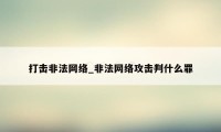 打击非法网络_非法网络攻击判什么罪