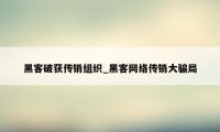 黑客破获传销组织_黑客网络传销大骗局