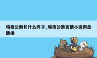 暗夜公爵长什么样子_暗夜公爵言情小说网盘链接