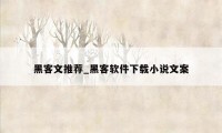 黑客文推荐_黑客软件下载小说文案