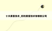 十大黑客技术_好的黑客技术有哪些公司